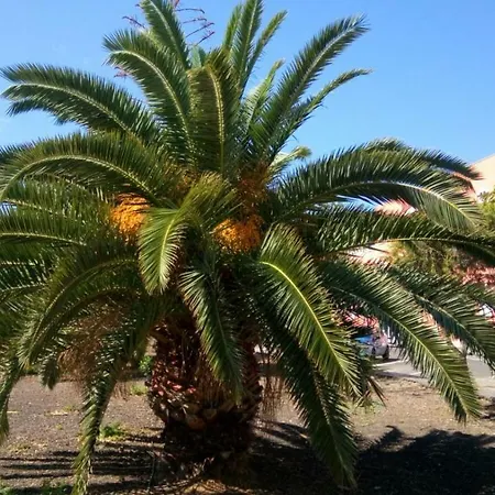 сosy Sandy Beach 公寓 拉斯加莱塔斯
